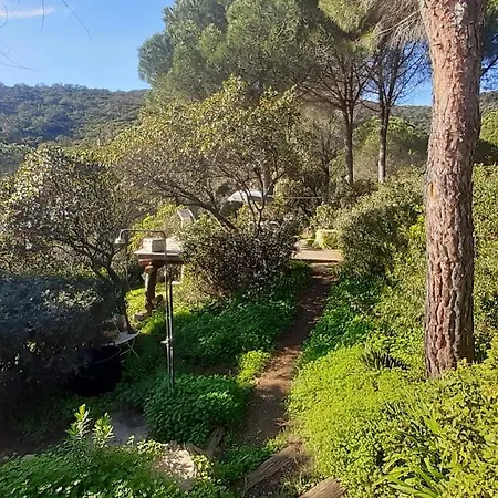 Massacan-vue Le Lavandou