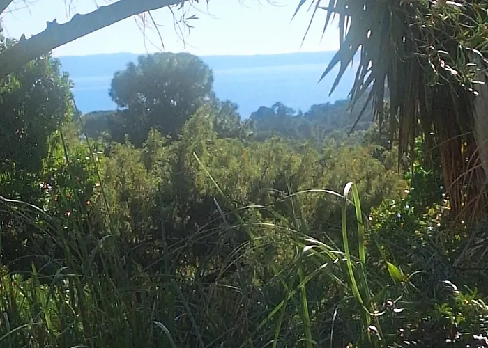 Massacan-vue Πανσιόν 4*