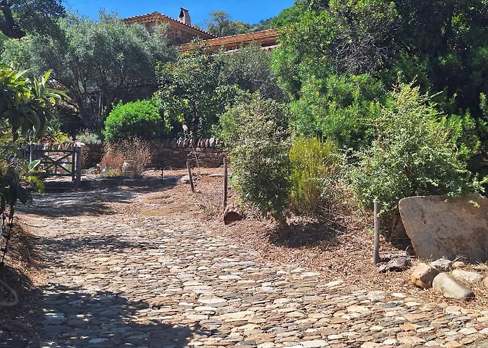 Massacan-vue Le Lavandou