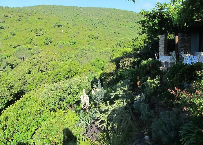 Πανσιόν Massacan-vue Le Lavandou