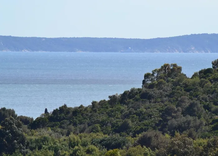 Massacan-vue Le Lavandou