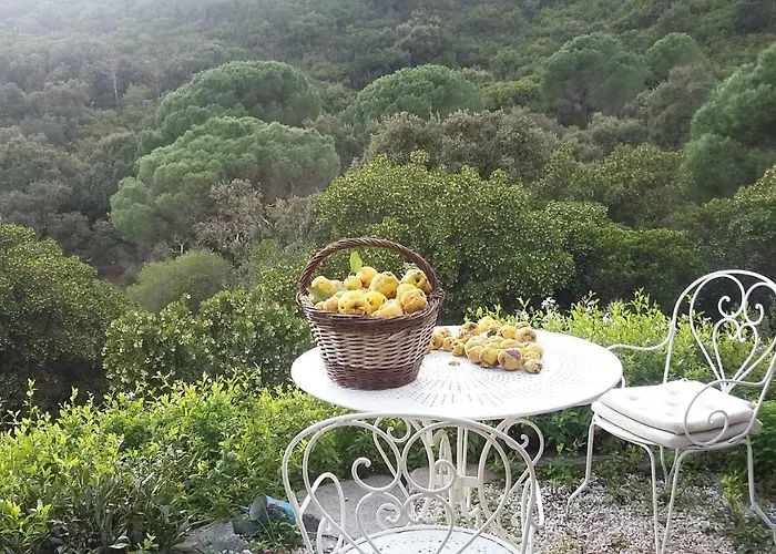 Massacan-vue Πανσιόν Le Lavandou