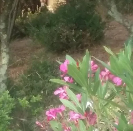 Πανσιόν Massacan-vue 4*