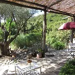 Massacan-vue