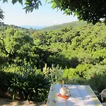 Massacan-vue