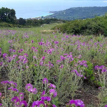 Massacan-vue Pensión