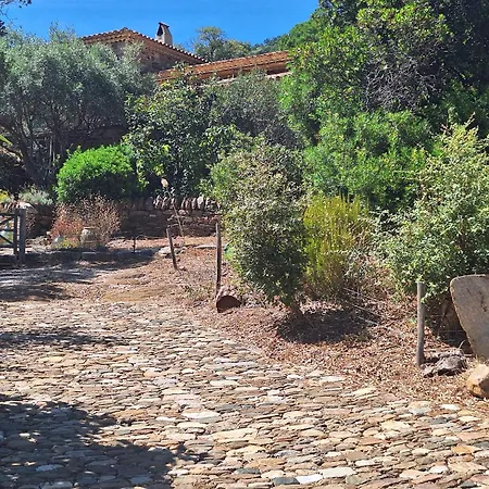 Massacan-vue Le Lavandou