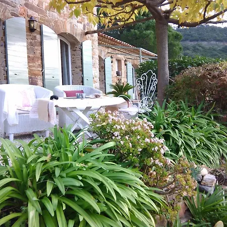 Massacan-vue Le Lavandou