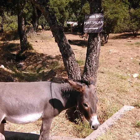 Pensión Massacan-vue