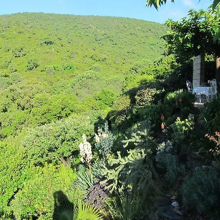 Maison d'hôtes Massacan-vue Le Lavandou