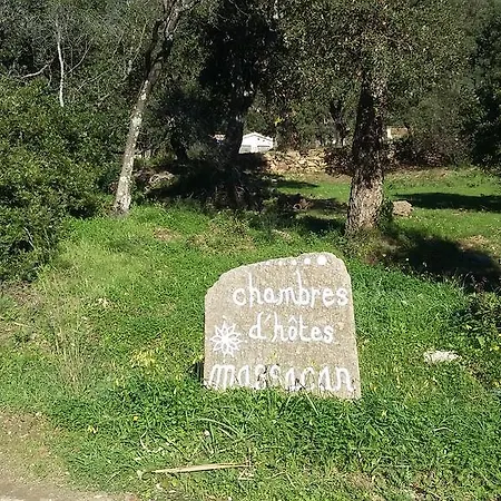 Maison d'hôtes Massacan-vue Le Lavandou