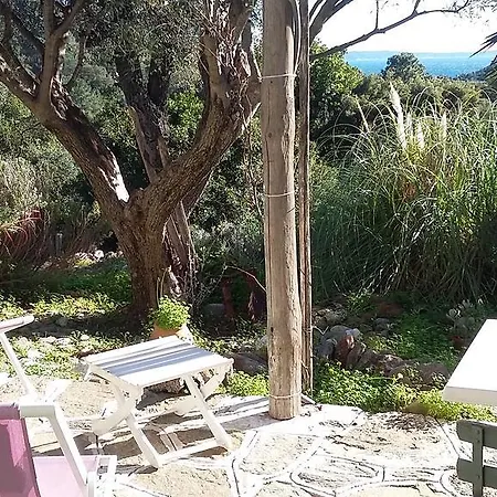 Massacan-vue Maison d'hôtes Le Lavandou