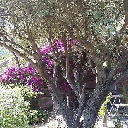 Massacan-vue Maison d'hôtes Le Lavandou