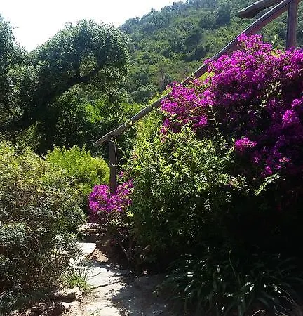 Massacan-vue Guest house *