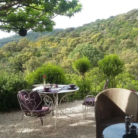 Massacan-vue Le Lavandou