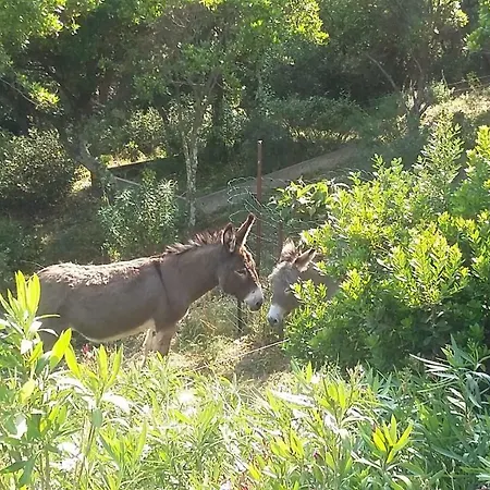 Massacan-vue 4*