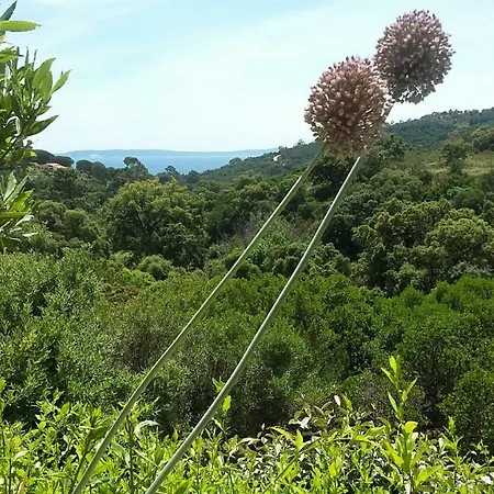 Maison d'hôtes Massacan-vue Le Lavandou