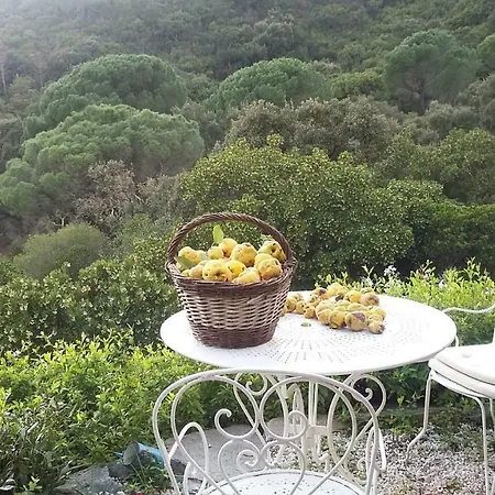 Massacan-vue Maison d'hôtes Le Lavandou