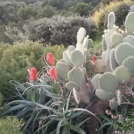 Pensión Massacan-vue 3*