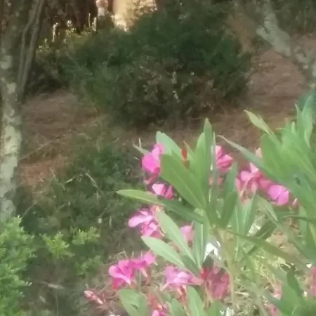 Guest house Massacan-vue *