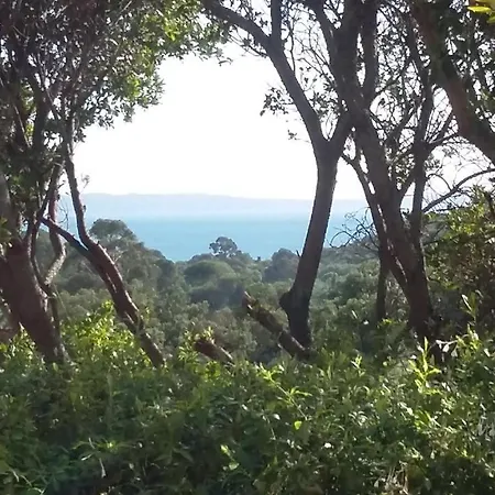Pensión Massacan-vue Le Lavandou