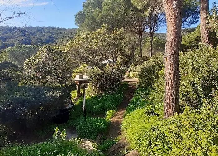 Massacan-vue Le Lavandou