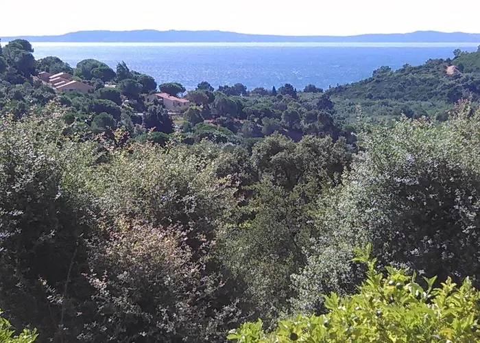 Massacan-vue Le Lavandou