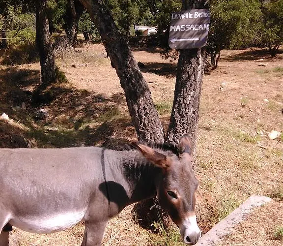 Affittacamere Massacan-vue