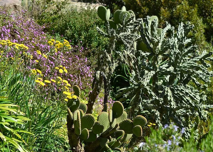 Affittacamere Massacan-vue