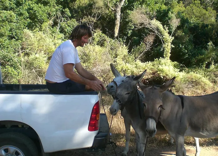 Affittacamere Massacan-vue