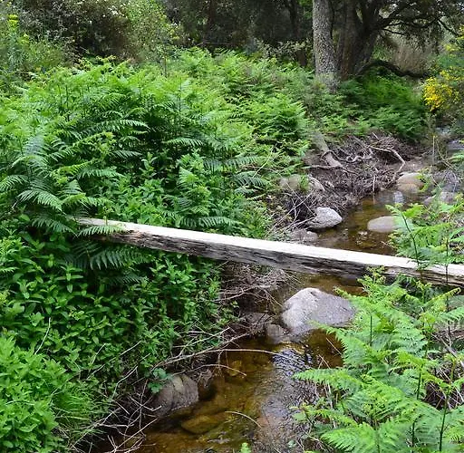 Massacan-vue Pensjonat Le Lavandou
