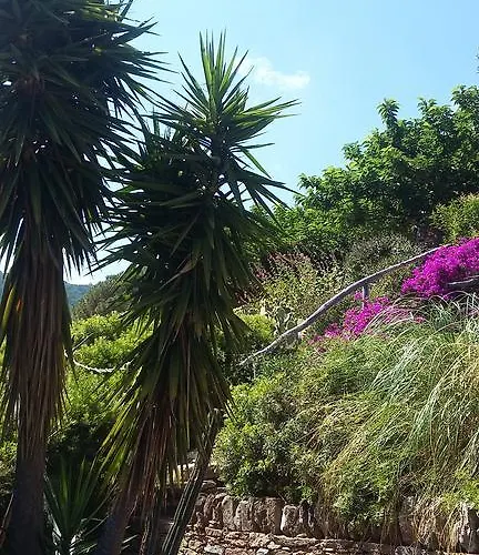 Massacan-vue Le Lavandou