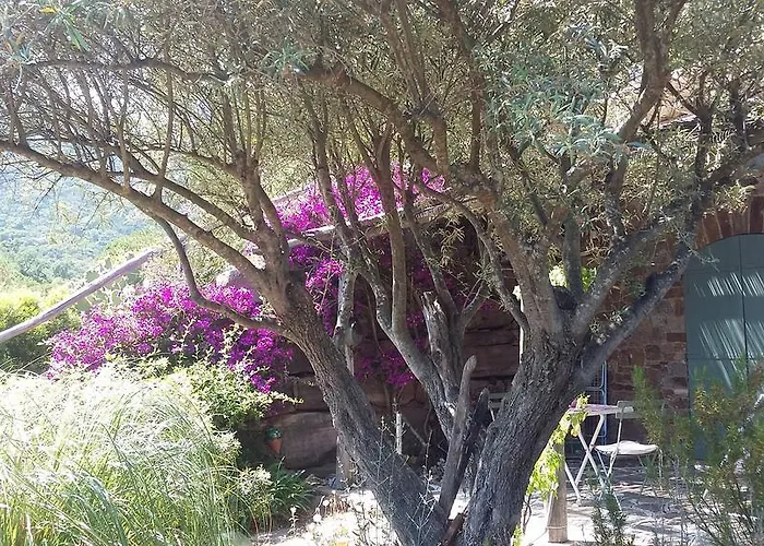 Massacan-vue Pensionat Le Lavandou