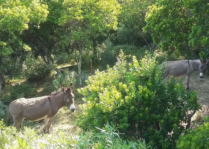Pensionat Massacan-vue