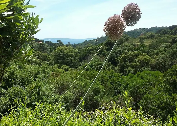 Affittacamere Massacan-vue Le Lavandou