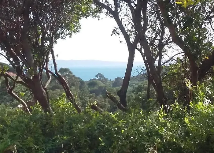 Affittacamere Massacan-vue Le Lavandou
